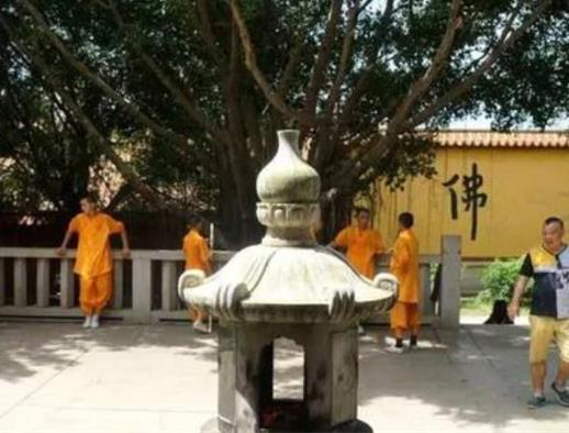 清遠十大最好玩的景點,少林禪院傳承中華文化、鳳凰臺建筑精美
