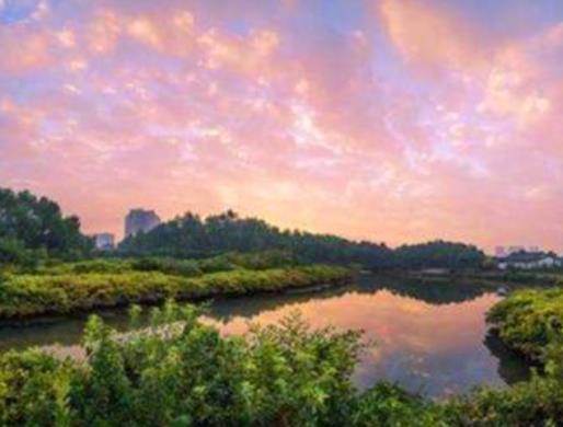 惠州十大最好玩的景點(diǎn),羅浮山宗教文化特殊、惠州西湖景點(diǎn)很多