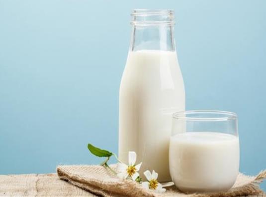 十大液態(tài)羊奶品牌排行榜,卓牧羊奶、圣妃羊奶都值得信賴