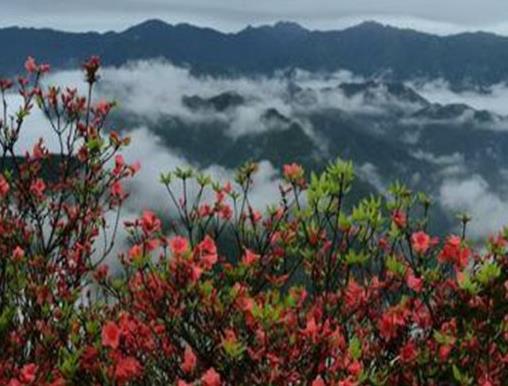 永州十大旅游景點(diǎn)排名,永州江永上甘棠古村、柳子廟吸引游客