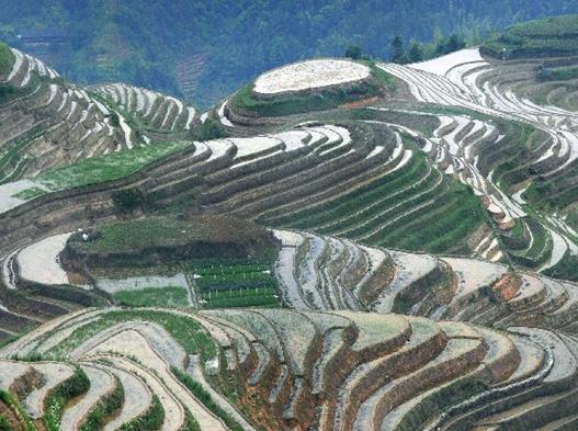 桂林風(fēng)景區(qū)排行榜,遇龍河、龍脊梯田風(fēng)景名勝區(qū)非常壯觀