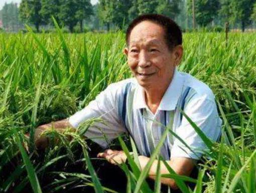 中國(guó)五位頂尖的科學(xué)家,錢學(xué)森是中國(guó)導(dǎo)彈之父、李四光貢獻(xiàn)極大