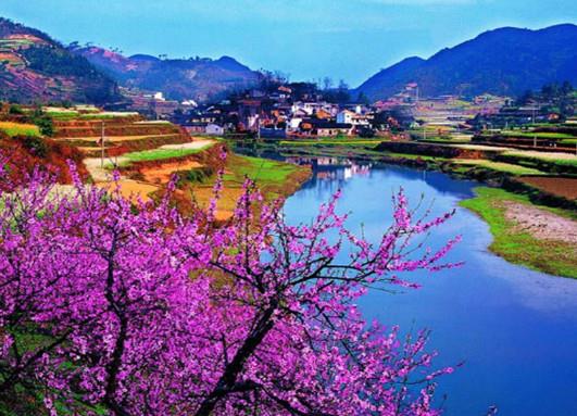 2021年十大適合一個人散心的地方,麗江、滬沽湖讓你享受自然的洗禮