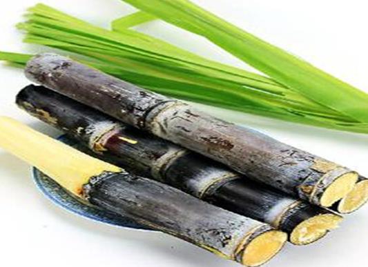 對(duì)喉嚨好的十大水果排名,梨能生津止渴、枇杷潤(rùn)肺化痰