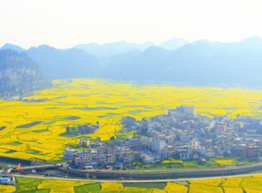 2021年貴州十大強(qiáng)鎮(zhèn)排行榜,茅臺鎮(zhèn)歷史悠久、南白鎮(zhèn)交通位置重要