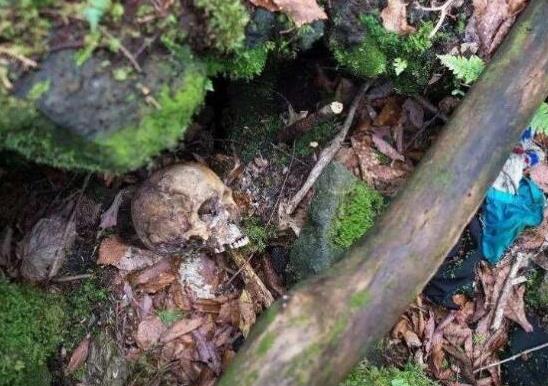 地球上10大最毛骨悚然的恐怖地帶,青木原、三芝度假區(qū)都很恐怖