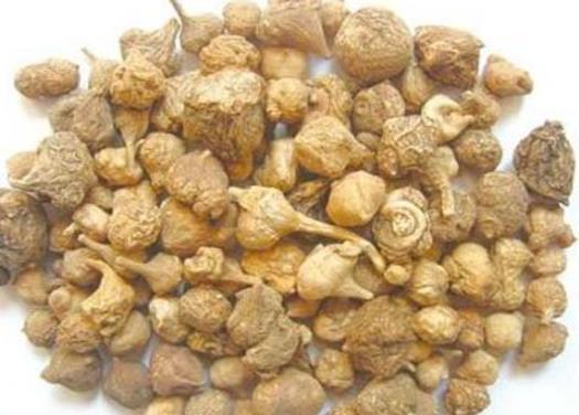 貴州十大名藥排行榜,天麻非常名貴、杜仲預(yù)防骨質(zhì)疏松