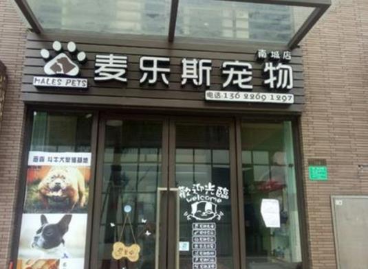 2021年十大寵物品牌連鎖店,大嘴狗很專業(yè)、愛肯拿深受歡迎