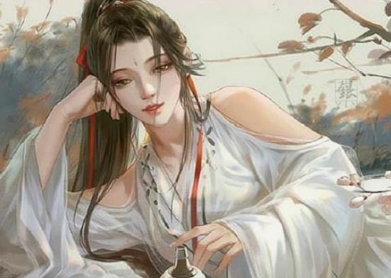 十大經(jīng)典女扮男裝玄幻小說,廢材紈绔之腹黑邪妃、傲風(fēng)評價高