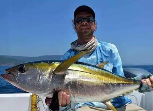 世界十大游速最快的魚(yú),印度槍魚(yú)體內(nèi)脂肪含量高、旗魚(yú)生性勇猛