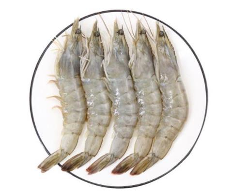 廣東十大河鮮排行榜,鮑魚(yú)蛋白質(zhì)含量高、象拔蚌肉質(zhì)鮮美
