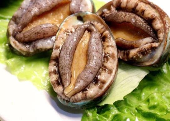 廣東十大河鮮排行榜,鮑魚(yú)蛋白質(zhì)含量高、象拔蚌肉質(zhì)鮮美
