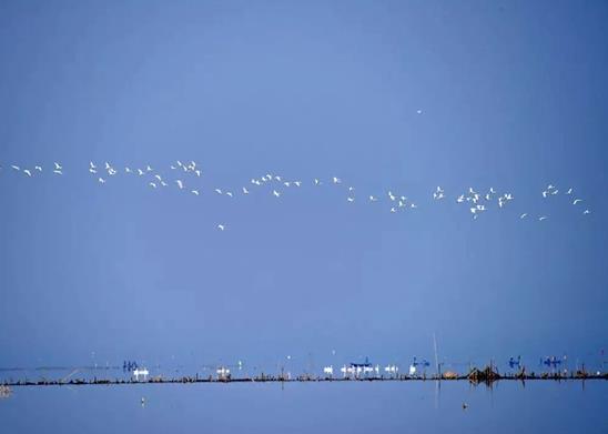 湖北十大著名湖泊排名,東湖觀賞項(xiàng)目多、洪湖被稱為“湖北之腎”