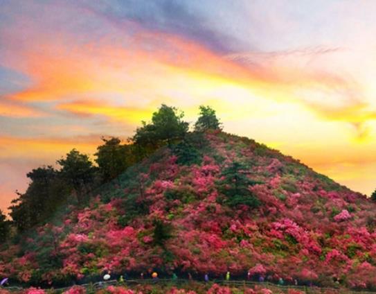 武漢十大名山排行榜,東湖磨山景區(qū)六峰相連、木蘭山是木蘭文化之源