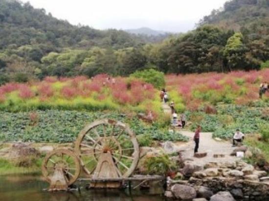 廣州十大自駕游景點(diǎn),廣東石門國(guó)家森林公園、溪頭旅游村景區(qū)自由度高