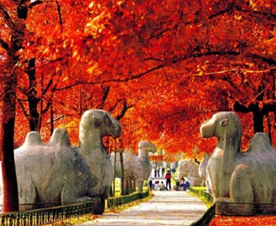 南京十大最好玩的景點(diǎn),紅山森林動(dòng)物園、南京科技館很受游客歡迎