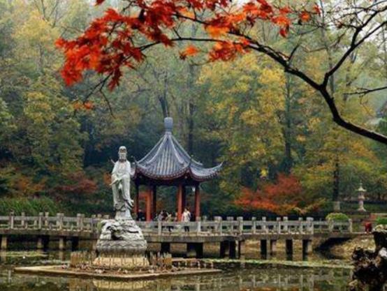 南京十大最好玩的景點(diǎn),紅山森林動(dòng)物園、南京科技館很受游客歡迎