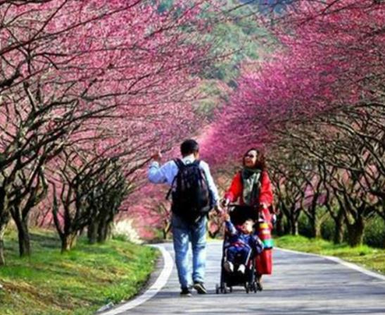 湖州市十大賞花景點(diǎn)排行榜,安吉中南百草園、長興城山溝景區(qū)歷史悠久