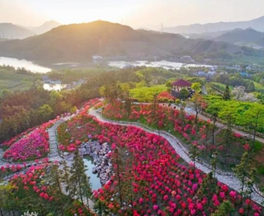 湖州市十大賞花景點(diǎn)排行榜,安吉中南百草園、長興城山溝景區(qū)歷史悠久