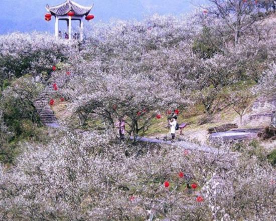 湖州市十大賞花景點(diǎn)排行榜,安吉中南百草園、長興城山溝景區(qū)歷史悠久