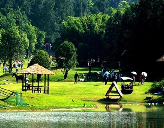 湖州市十大賞花景點(diǎn)排行榜,安吉中南百草園、長興城山溝景區(qū)歷史悠久