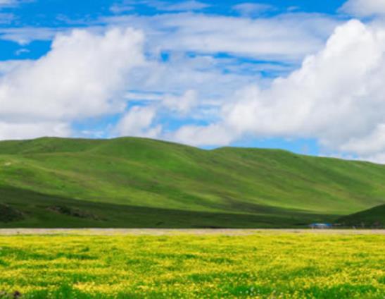 中國十大最美草原排行榜,伊犁草原、呼倫貝爾草原四季風(fēng)光景色宜人