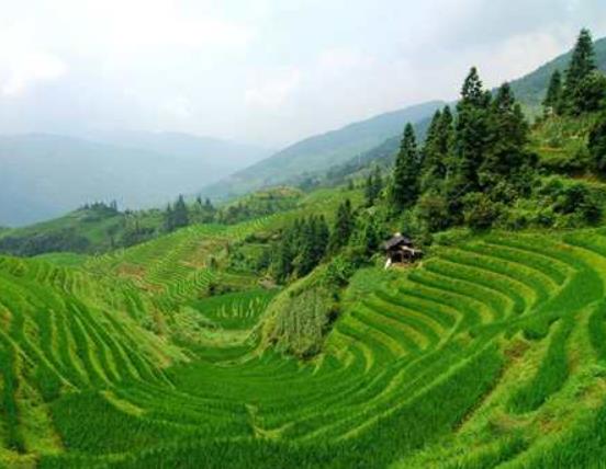 廣西旅游必去十大景點(diǎn)排名,桂林山水甲天下、漓江被稱為百里畫(huà)廊