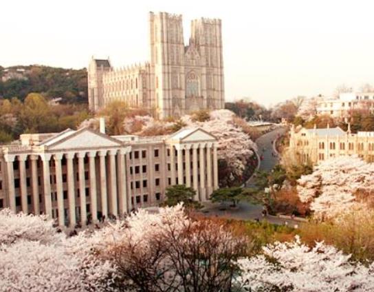 2022韓國(guó)大學(xué)QS排名,首爾國(guó)立大學(xué)、韓國(guó)科學(xué)技術(shù)研究所得到業(yè)界廣泛認(rèn)可