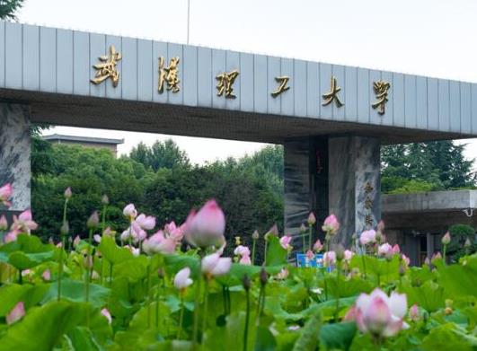 武漢十大最美大學(xué)排行榜,武漢大學(xué)校園享譽(yù)、華中農(nóng)業(yè)大學(xué)環(huán)境幽雅