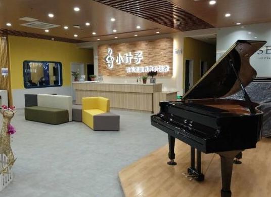十大鋼琴培訓(xùn)機構(gòu)排名,雅馬哈音樂中心、珠江鋼琴藝術(shù)教室有足夠的實力