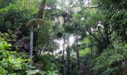 廣東十大旅游景點(diǎn)排行榜 廣東有什么好玩的地方去旅游