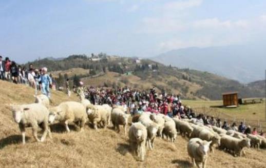 臺灣十大旅游景點(diǎn)排行榜 臺灣有什么好玩的地方去旅游