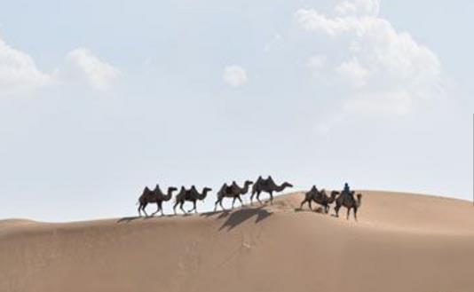內(nèi)蒙古鄂爾多斯十大旅游景點排行榜 鄂爾多斯有什么好玩的地方