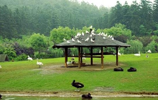浙江省湖州市十大旅游景點(diǎn)排行榜 湖州有什么好玩的地方