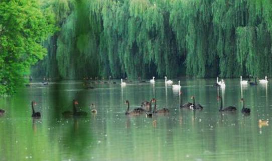 安徽省阜陽(yáng)市十大旅游景點(diǎn)排行榜 阜陽(yáng)有什么好玩的地方