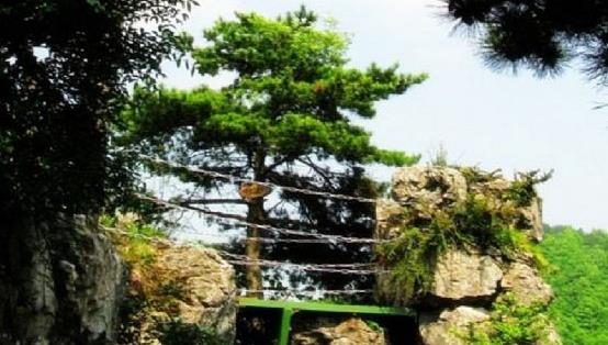 四川省廣元市十大旅游景點排行榜 廣元有什么好玩的地方