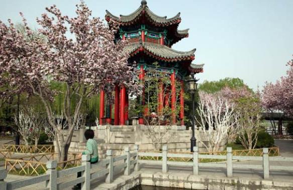 云南省玉溪市十大旅游景點排行榜 玉溪有什么好玩的地方
