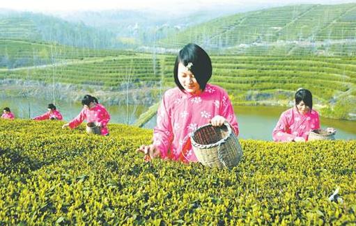 湖北省隨州十大旅游景點(diǎn)排行榜 隨州有什么好玩的地方