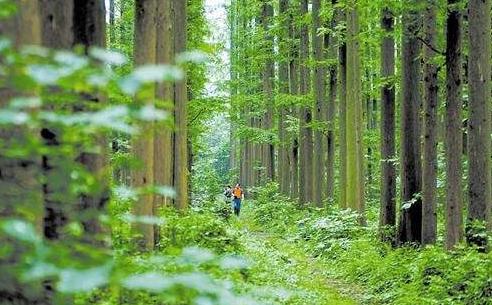 湖北省潛江十大旅游景點排行榜 潛江有什么好玩的地方