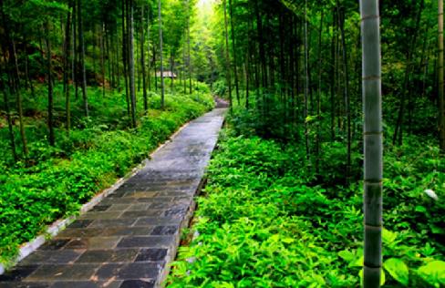 湖南省衡陽(yáng)十大旅游景點(diǎn)排行榜 衡陽(yáng)有什么好玩的地方