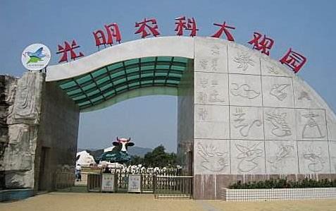 廣東省深圳市十大旅游景點(diǎn)排行榜 深圳有什么好玩的地方
