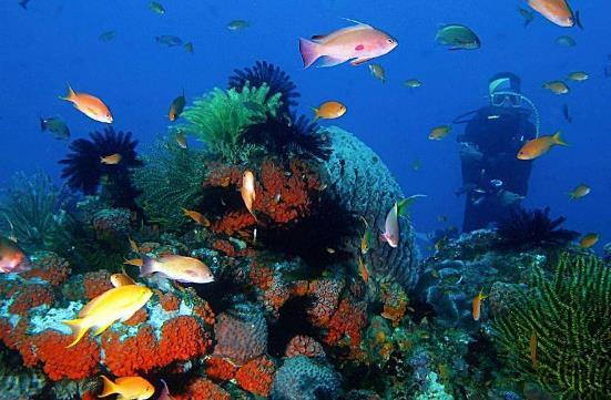 海南省海口市十大旅游景點排行榜 ?谟惺裁春猛娴牡胤
