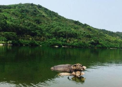 海南省屯昌市十大旅游景點排行榜 屯昌有什么好玩的地方
