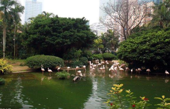 香港油尖旺區(qū)十大旅游景點(diǎn)排行榜 油尖旺區(qū)有什么好玩的地方