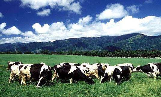 臺(tái)灣臺(tái)東十大旅游景點(diǎn)排行榜 臺(tái)東有什么好玩的地方