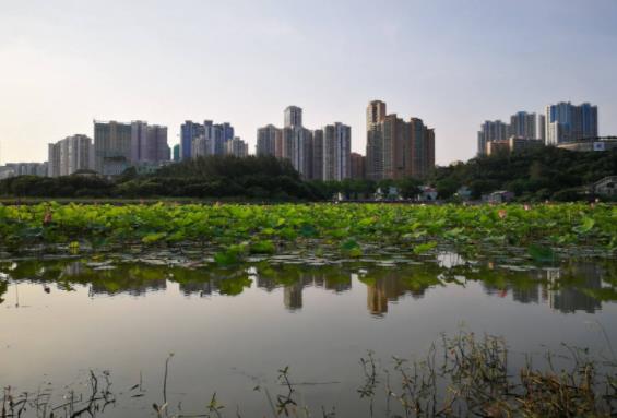 澳門嘉模堂區(qū)十大旅游景點(diǎn)排行榜 嘉模堂區(qū)有什么好玩的地方