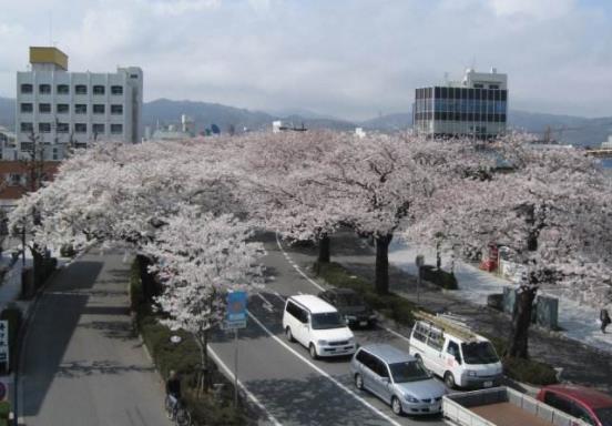 日本茨城縣十大旅游景點(diǎn)排行榜 茨城縣有什么好玩的地方