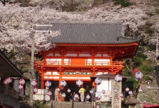 日本和歌山縣十大旅游景點(diǎn)排行榜 和歌山縣有什么好玩的地方