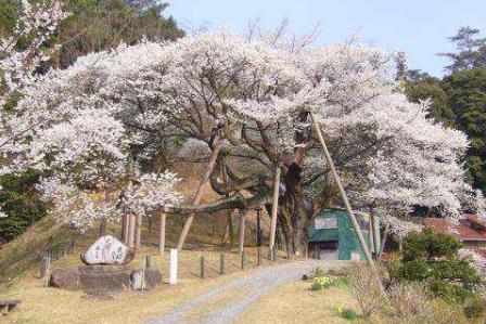 日本島根縣十大旅游景點(diǎn)排行榜 島根縣有什么好玩的地方