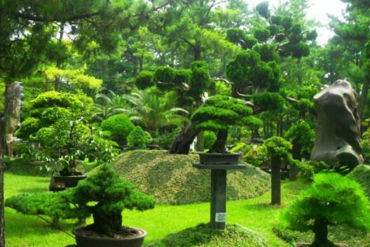 韓國(guó)濟(jì)州島十大旅游景點(diǎn)排行榜 濟(jì)州島有什么好玩的地方
